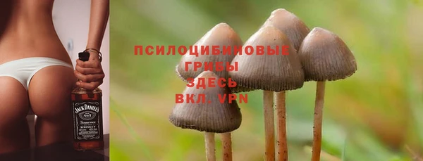 MESCALINE Богданович