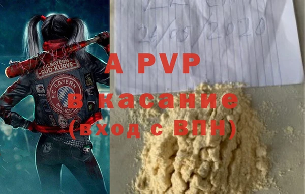 apvp Вяземский