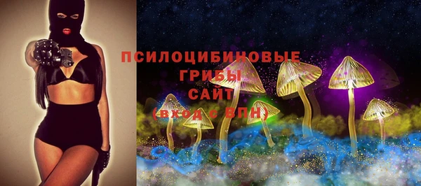 мдма Богородск