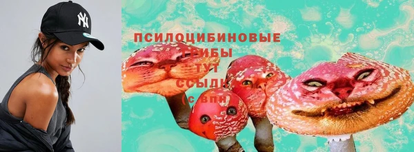 эйфоретик Вязники