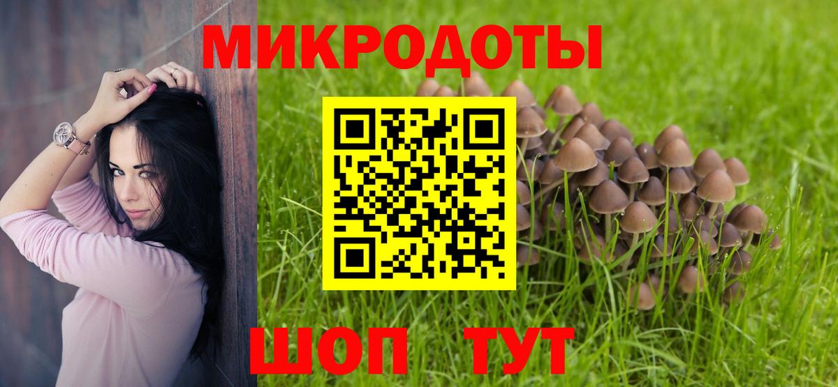 Галлюциногенные грибы прущие грибы  Вход с VPN  Бузулук 
